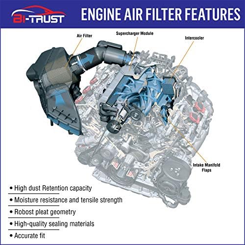 Въздушен филтър на двигателя Bi-Trust CA9361, Замяна за 2001-2006 Acura MDX V6 3.5 L 2003-2008 Honda Pilot V6 3.5 L, 17220-PGK-A00
